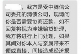 保亭如何避免债务纠纷？专业追讨公司教您应对之策